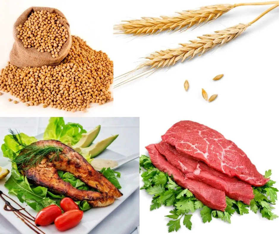 Vegetables and animal protein