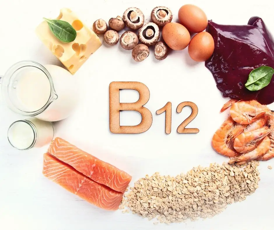Vitamin b12 Foods
