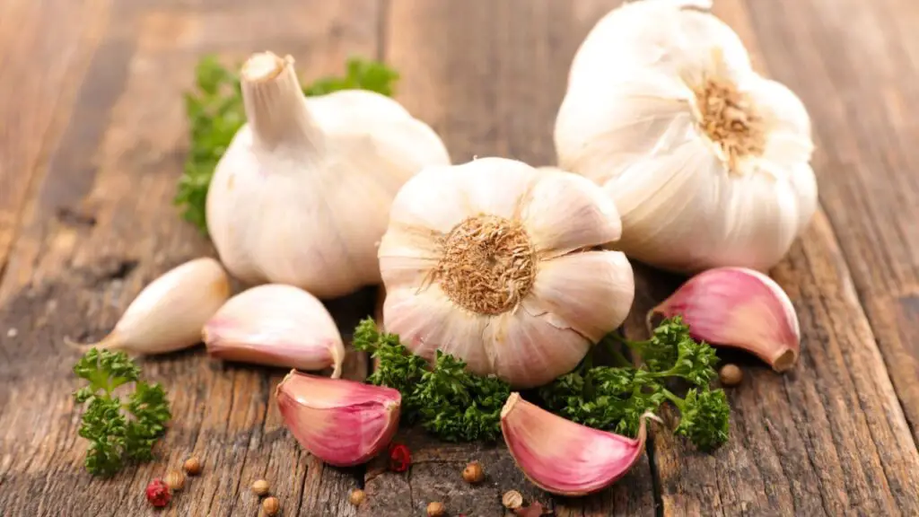 Health benefits to garlic